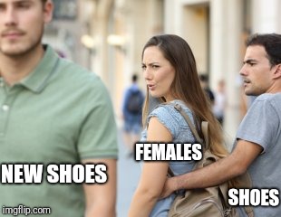 Distracted Girlfriend | FEMALES; NEW SHOES; SHOES | image tagged in distracted girlfriend | made w/ Imgflip meme maker