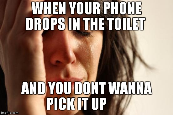 First World Problems | WHEN YOUR PHONE DROPS IN THE TOILET; AND YOU DONT WANNA PICK IT UP | image tagged in memes,first world problems | made w/ Imgflip meme maker