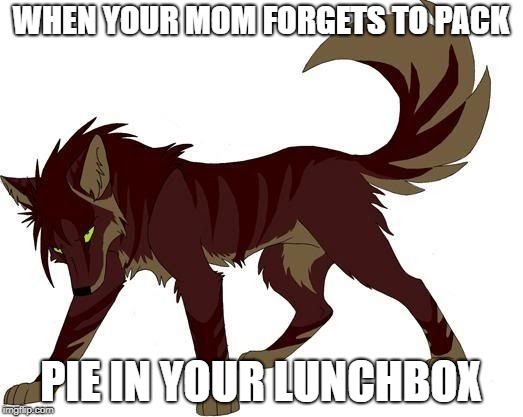 Pie for Life | WHEN YOUR MOM FORGETS TO PACK; PIE IN YOUR LUNCHBOX | image tagged in meme,pie,pies,wolf,wolves,blame | made w/ Imgflip meme maker