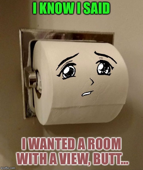 Be careful what you ask for | I KNOW I SAID; I WANTED A ROOM WITH A VIEW, BUTT... | image tagged in toilet paper senpai,memes,toilet paper,toilet humor | made w/ Imgflip meme maker