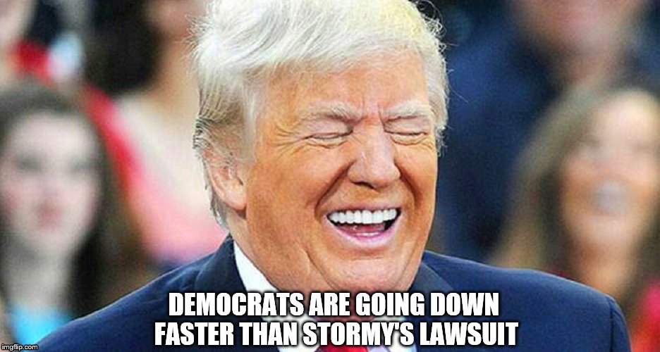 DEMOCRATS ARE GOING DOWN FASTER THAN STORMY'S LAWSUIT | image tagged in donald trump,stormy daniels | made w/ Imgflip meme maker