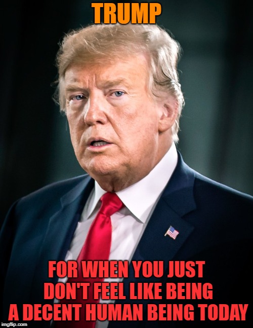 Screw EVERYONE! | TRUMP; FOR WHEN YOU JUST DON'T FEEL LIKE BEING A DECENT HUMAN BEING TODAY | image tagged in trump,evil,potus,demon,gop,asshole | made w/ Imgflip meme maker