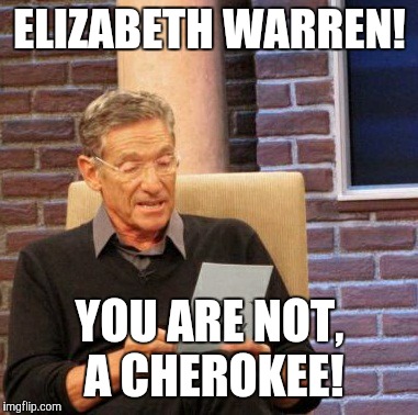 Maury Lie Detector | ELIZABETH WARREN! YOU ARE NOT,  A CHEROKEE! | image tagged in memes,maury lie detector | made w/ Imgflip meme maker