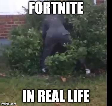 fortnit bush | FORTNITE; IN REAL LIFE | image tagged in fortnit bush | made w/ Imgflip meme maker