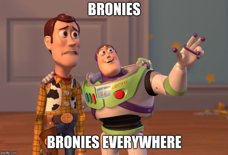 X, X Everywhere Meme | BRONIES; BRONIES EVERYWHERE | image tagged in memes,x x everywhere | made w/ Imgflip meme maker