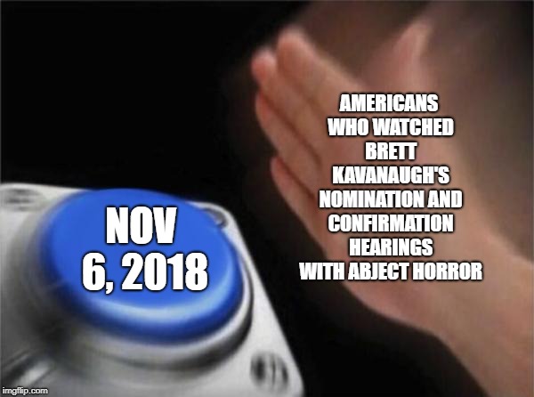 Blank Nut Button | AMERICANS WHO WATCHED BRETT KAVANAUGH'S NOMINATION AND CONFIRMATION HEARINGS WITH ABJECT HORROR; NOV 6, 2018 | image tagged in memes,blank nut button | made w/ Imgflip meme maker
