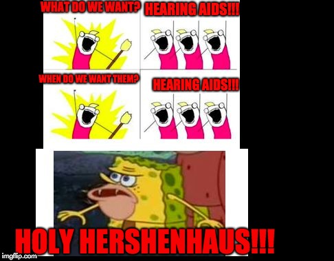 Holy Hershenhaus!!!!!!! |  WHAT DO WE WANT? HEARING AIDS!!! WHEN DO WE WANT THEM? HEARING AIDS!!! HOLY HERSHENHAUS!!! | image tagged in what do we want reaction | made w/ Imgflip meme maker