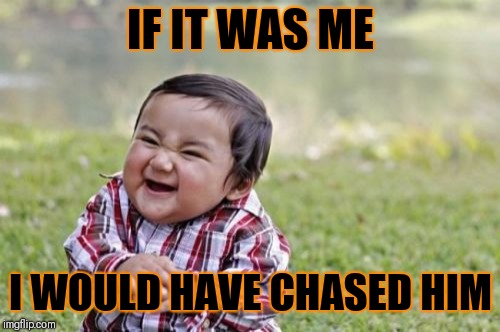 Evil Toddler Meme | IF IT WAS ME I WOULD HAVE CHASED HIM | image tagged in memes,evil toddler | made w/ Imgflip meme maker