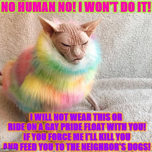 NO HUMAN NO! I WON'T DO IT! I WILL NOT WEAR THIS OR RIDE ON A GAY PRIDE FLOAT WITH YOU! IF YOU FORCE ME I'LL KILL YOU AND FEED YOU TO THE NEIGHBOR'S DOGS! | image tagged in no human no | made w/ Imgflip meme maker