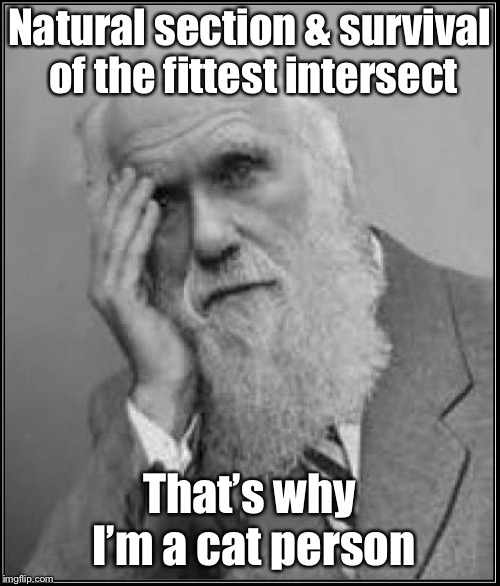 darwin facepalm | Natural section & survival of the fittest intersect That’s why I’m a cat person | image tagged in darwin facepalm | made w/ Imgflip meme maker