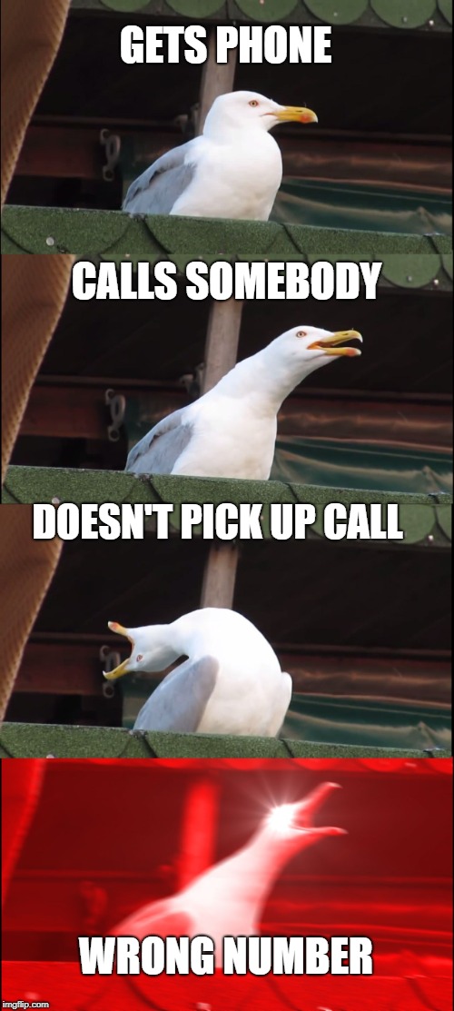 Inhaling Seagull | GETS PHONE; CALLS SOMEBODY; DOESN'T PICK UP CALL; WRONG NUMBER | image tagged in memes,inhaling seagull | made w/ Imgflip meme maker