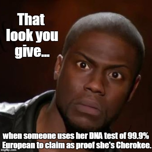 Say What!? | That look you give... when someone uses her DNA test of 99.9% European to claim as proof she's Cherokee. | image tagged in that look you give,warren,cherokee | made w/ Imgflip meme maker