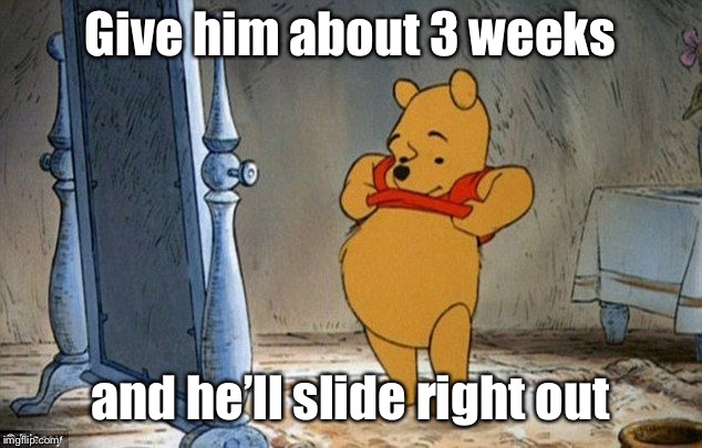 Winnie the Pooh | Give him about 3 weeks and he’ll slide right out | image tagged in winnie the pooh | made w/ Imgflip meme maker