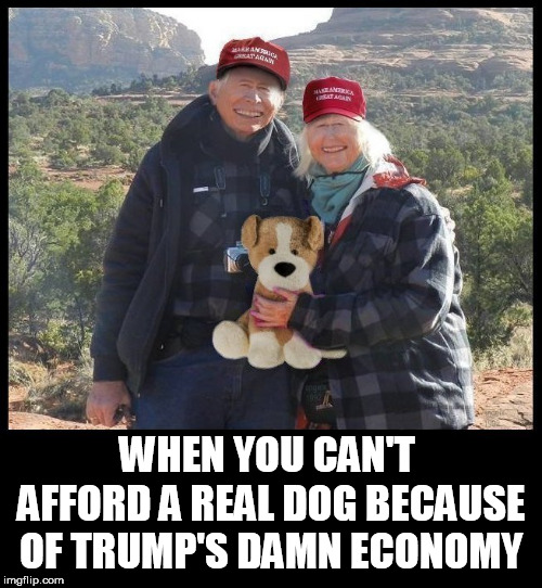WHEN YOU CAN'T AFFORD A REAL DOG BECAUSE OF TRUMP'S DAMN ECONOMY | image tagged in dog,economy,old people,poverty,stuffed animal,dumptrump | made w/ Imgflip meme maker