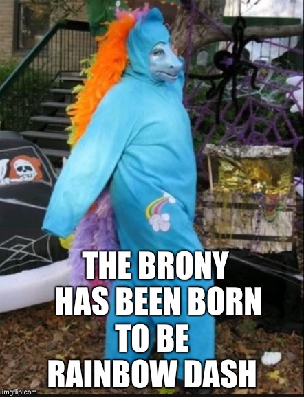 THE BRONY HAS BEEN BORN; TO BE RAINBOW DASH | image tagged in the brony dress like rainbow dash | made w/ Imgflip meme maker