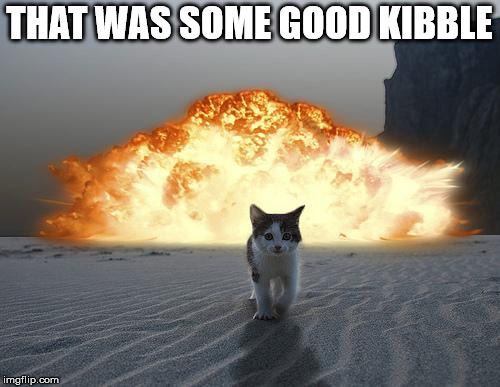 New kibble from Taco Bell | THAT WAS SOME GOOD KIBBLE | image tagged in cat explosion,taco bell,front page | made w/ Imgflip meme maker