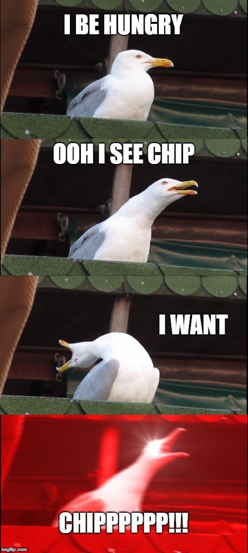 Inhaling Seagull | I BE HUNGRY; OOH I SEE CHIP; I WANT; CHIPPPPPP!!! | image tagged in memes,inhaling seagull | made w/ Imgflip meme maker