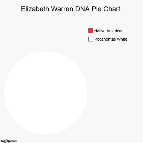 Visual Of Pocahontas Dna Results Imgflip
