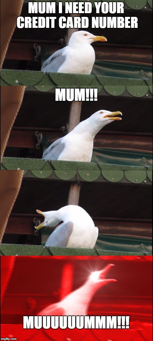 Inhaling Seagull Meme | MUM I NEED YOUR CREDIT CARD NUMBER; MUM!!! MUUUUUUMMM!!! | image tagged in memes,inhaling seagull | made w/ Imgflip meme maker