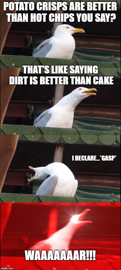 Hot chips 4 life | POTATO CRISPS ARE BETTER THAN HOT CHIPS YOU SAY? THAT'S LIKE SAYING DIRT IS BETTER THAN CAKE; I DECLARE...*GASP*; WAAAAAAAR!!! | image tagged in memes,inhaling seagull | made w/ Imgflip meme maker