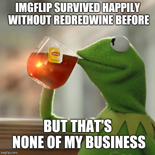 But That's None Of My Business Meme | IMGFLIP SURVIVED HAPPILY WITHOUT REDREDWINE BEFORE; BUT THAT'S NONE OF MY BUSINESS | image tagged in memes,but thats none of my business,kermit the frog | made w/ Imgflip meme maker
