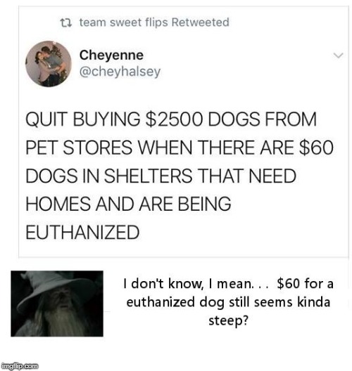 There Are Dogs | image tagged in dogs are expensive | made w/ Imgflip meme maker