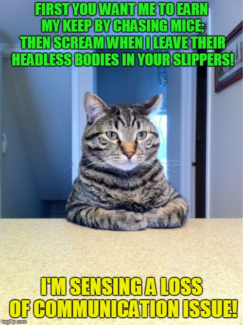 It's all about communication! | FIRST YOU WANT ME TO EARN MY KEEP BY CHASING MICE; THEN SCREAM WHEN I LEAVE THEIR HEADLESS BODIES IN YOUR SLIPPERS! I'M SENSING A LOSS OF COMMUNICATION ISSUE! | image tagged in memes,take a seat cat,lack of communication | made w/ Imgflip meme maker