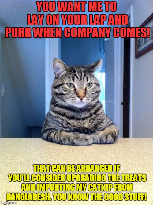 Let's talk catnip! | YOU WANT ME TO LAY ON YOUR LAP AND PURR WHEN COMPANY COMES! THAT CAN BE ARRANGED IF YOU'LL CONSIDER UPGRADING THE TREATS AND IMPORTING MY CATNIP FROM BANGLADESH. YOU KNOW THE GOOD STUFF! | image tagged in memes,take a seat cat,spoiled cat | made w/ Imgflip meme maker