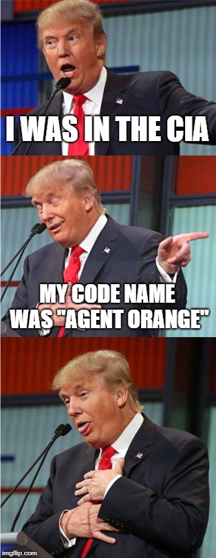 Bad Pun Trump | I WAS IN THE CIA; MY CODE NAME WAS "AGENT ORANGE" | image tagged in bad pun trump,agent orange,orange | made w/ Imgflip meme maker