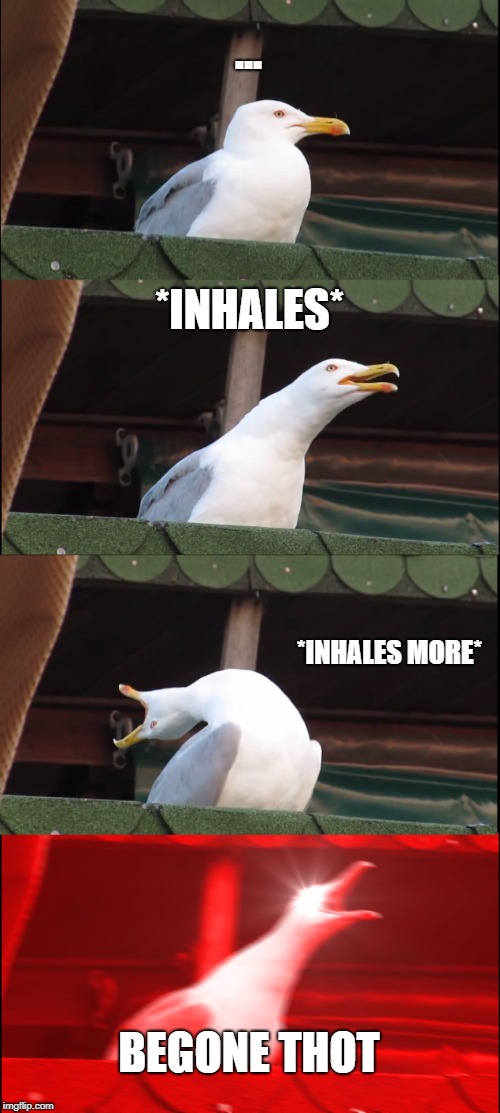 Inhaling Seagull | ... *INHALES*; *INHALES MORE*; BEGONE THOT | image tagged in memes,inhaling seagull | made w/ Imgflip meme maker