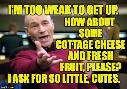 Picard Wtf Meme | I'M TOO WEAK TO GET UP. I ASK FOR SO LITTLE, CUTES. HOW ABOUT SOME COTTAGE CHEESE AND FRESH FRUIT, PLEASE? | image tagged in memes,picard wtf | made w/ Imgflip meme maker