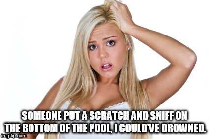 Dumb Blonde | SOMEONE PUT A SCRATCH AND SNIFF ON THE BOTTOM OF THE POOL, I COULD'VE DROWNED. | image tagged in dumb blonde | made w/ Imgflip meme maker