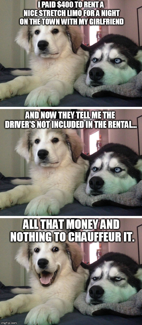 Bad pun dogs | I PAID $400 TO RENT A NICE STRETCH LIMO FOR A NIGHT ON THE TOWN WITH MY GIRLFRIEND; AND NOW THEY TELL ME THE DRIVER'S NOT INCLUDED IN THE RENTAL... ALL THAT MONEY AND NOTHING TO CHAUFFEUR IT. | image tagged in bad pun dogs | made w/ Imgflip meme maker