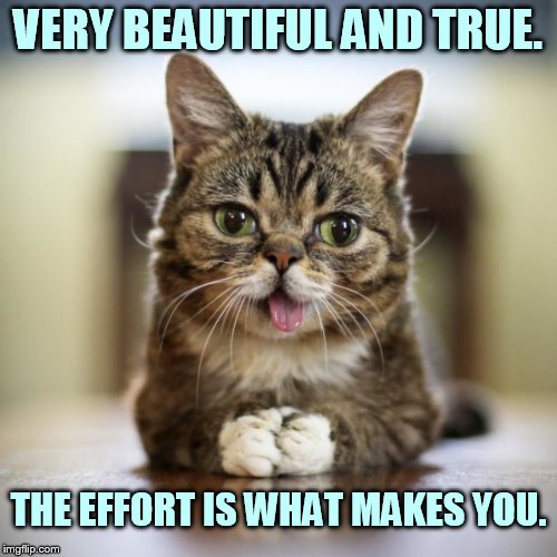 VERY BEAUTIFUL AND TRUE. THE EFFORT IS WHAT MAKES YOU. | made w/ Imgflip meme maker
