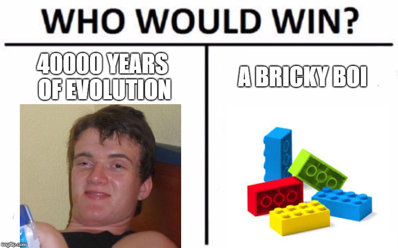 Who Would Win? Meme | 40000 YEARS OF EVOLUTION; A BRICKY BOI | image tagged in memes,who would win | made w/ Imgflip meme maker