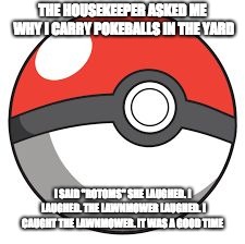 Pokeball | THE HOUSEKEEPER ASKED ME WHY I CARRY POKEBALLS IN THE YARD; I SAID "ROTOMS" SHE LAUGHED. I LAUGHED. THE LAWNMOWER LAUGHED. I CAUGHT THE LAWNMOWER. IT WAS A GOOD TIME | image tagged in pokeball | made w/ Imgflip meme maker