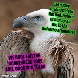 Greedy vulture | Let's face it, long before the end, before giving up on life in the universe altogether, WE ROOT FOR THE SCAVENGERS TOO! LIKE, GOOD FOR THEM! | image tagged in greedy vulture | made w/ Imgflip meme maker