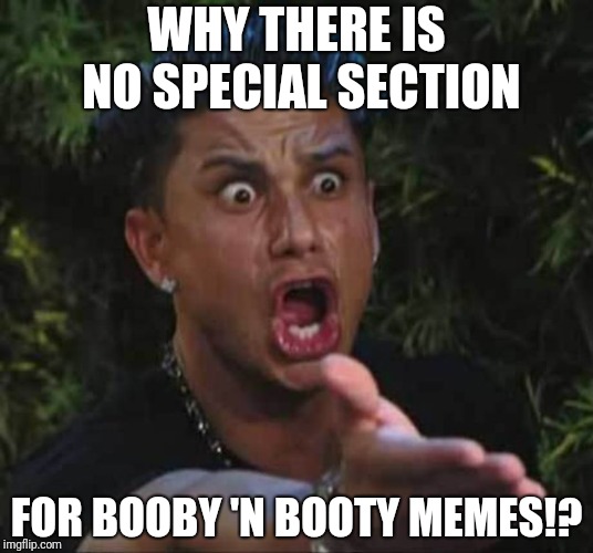 We want it now! | WHY THERE IS NO SPECIAL SECTION; FOR BOOBY 'N BOOTY MEMES!? | image tagged in jersey shore | made w/ Imgflip meme maker