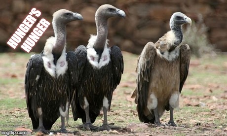 vulture politicians | HUNGER'S HUNGER | image tagged in vulture politicians | made w/ Imgflip meme maker