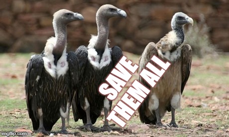 vulture politicians | SAVE THEM ALL | image tagged in vulture politicians | made w/ Imgflip meme maker