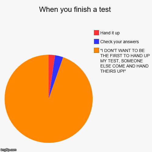 Why is this? | When you finish a test | "I DON'T WANT TO BE THE FIRST TO HAND UP MY TEST, SOMEONE ELSE COME AND HAND THEIRS UP!", Check your answers, Hand  | image tagged in funny,pie charts,test | made w/ Imgflip chart maker