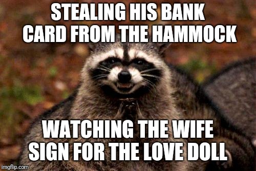 Evil Plotting Raccoon Meme |  STEALING HIS BANK CARD FROM THE HAMMOCK; WATCHING THE WIFE SIGN FOR THE LOVE DOLL | image tagged in memes,evil plotting raccoon | made w/ Imgflip meme maker