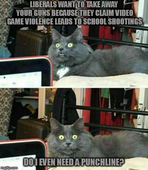 Now... where do I put this? | LIBERALS WANT TO TAKE AWAY YOUR GUNS BECAUSE THEY CLAIM VIDEO GAME VIOLENCE LEADS TO SCHOOL SHOOTINGS; DO I EVEN NEED A PUNCHLINE? | image tagged in memes,don't cross the memes,"wait what?" cat | made w/ Imgflip meme maker