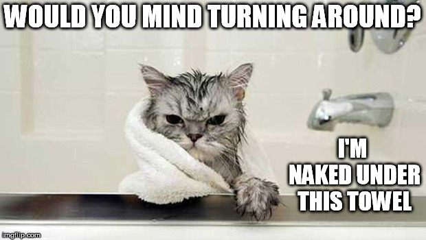 Bath time | WOULD YOU MIND TURNING AROUND? I'M NAKED UNDER THIS TOWEL | image tagged in cat,bath,angry cat | made w/ Imgflip meme maker