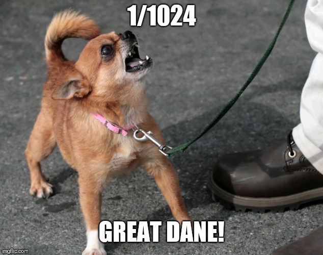 chihuahua barking | 1/1024; GREAT DANE! | image tagged in chihuahua barking | made w/ Imgflip meme maker