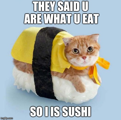Cat Sushi | THEY SAID U ARE WHAT U EAT; SO I IS SUSHI | image tagged in cat sushi | made w/ Imgflip meme maker