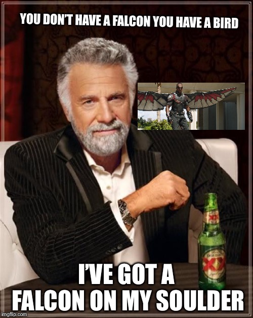 The Most Interesting Man In The World | YOU DON’T HAVE A FALCON YOU HAVE A BIRD; I’VE GOT A FALCON ON MY SHOULDER | image tagged in memes,the most interesting man in the world | made w/ Imgflip meme maker