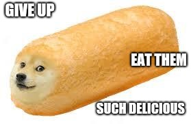 twinkie doge | GIVE UP SUCH DELICIOUS EAT THEM | image tagged in twinkie doge | made w/ Imgflip meme maker