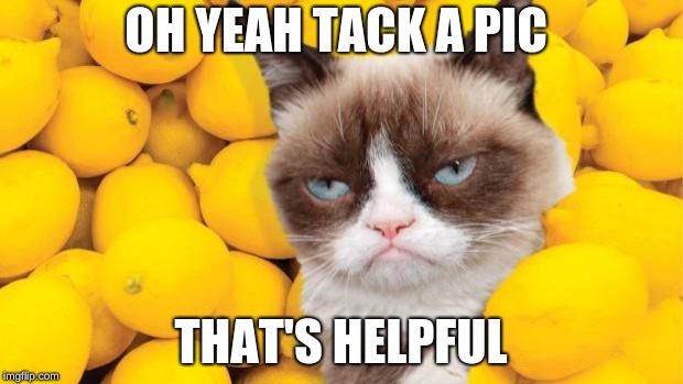 Grumpy Cat lemons | OH YEAH TACK A PIC; THAT'S HELPFUL | image tagged in grumpy cat lemons | made w/ Imgflip meme maker