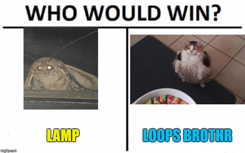 Who Would Win? | LAMP; LOOPS BROTHR | image tagged in memes,who would win | made w/ Imgflip meme maker